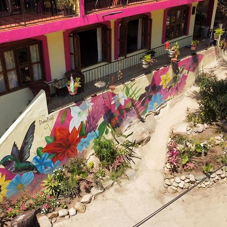 La Posada Pacifica Puerto Vallarta Kültér fotó